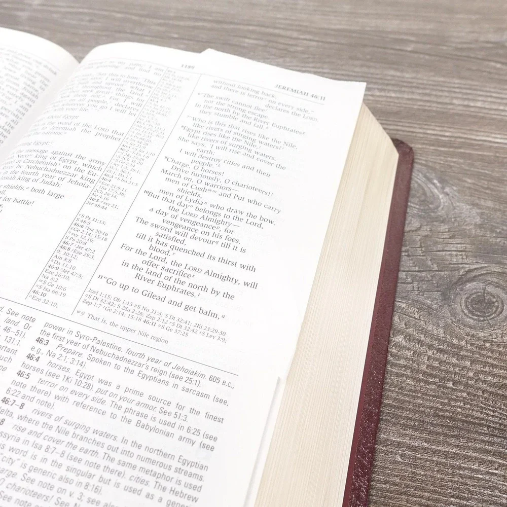 The NIV Study Bible‎ Herald Burgundy Bonded Leather Hardcover Red Letter